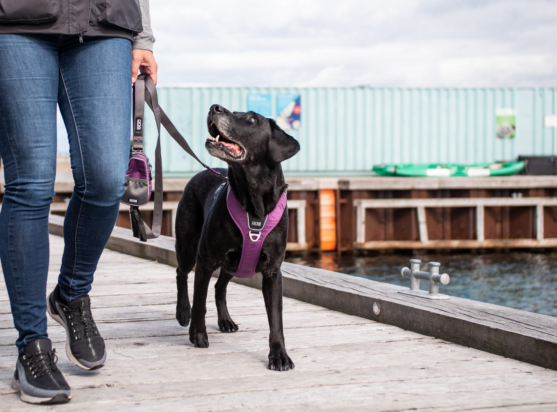 Dog Copenhagen Comfort Walk PRO Purple Passion - 4