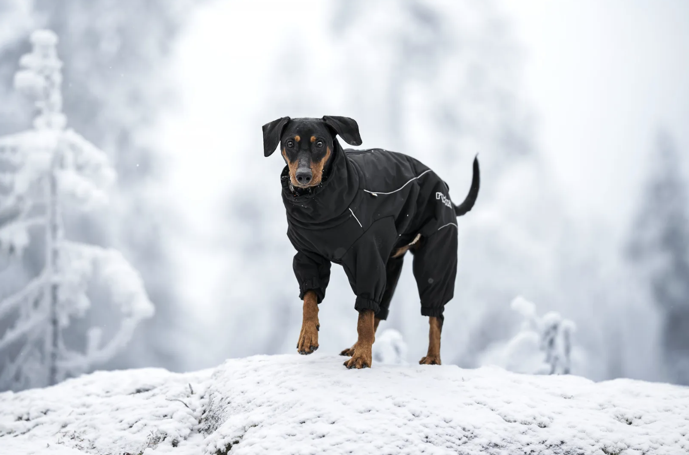 Rukka Pets Thermal Overall - Korall - 4