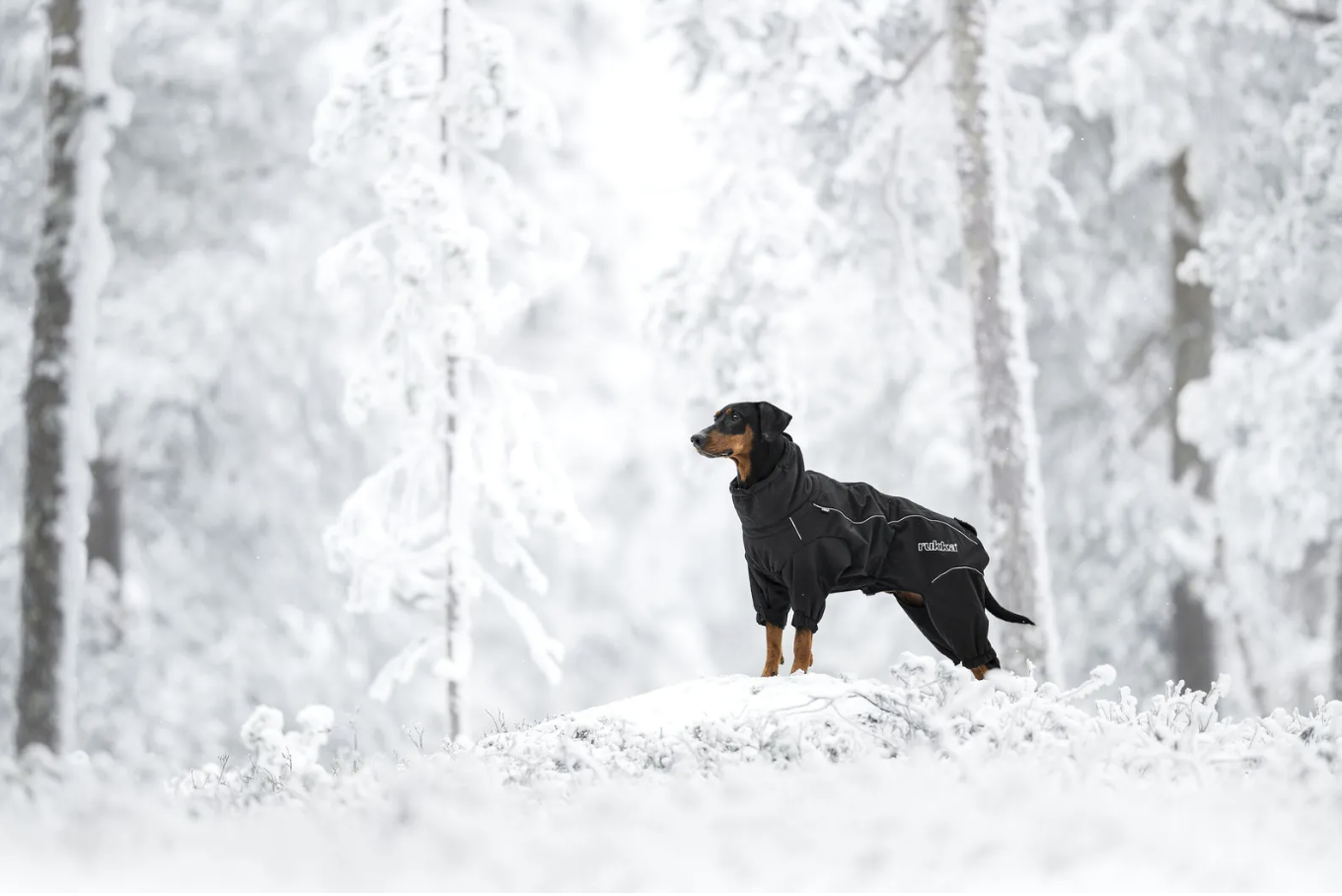 Rukka Pets Thermal Overall - Korall - 3