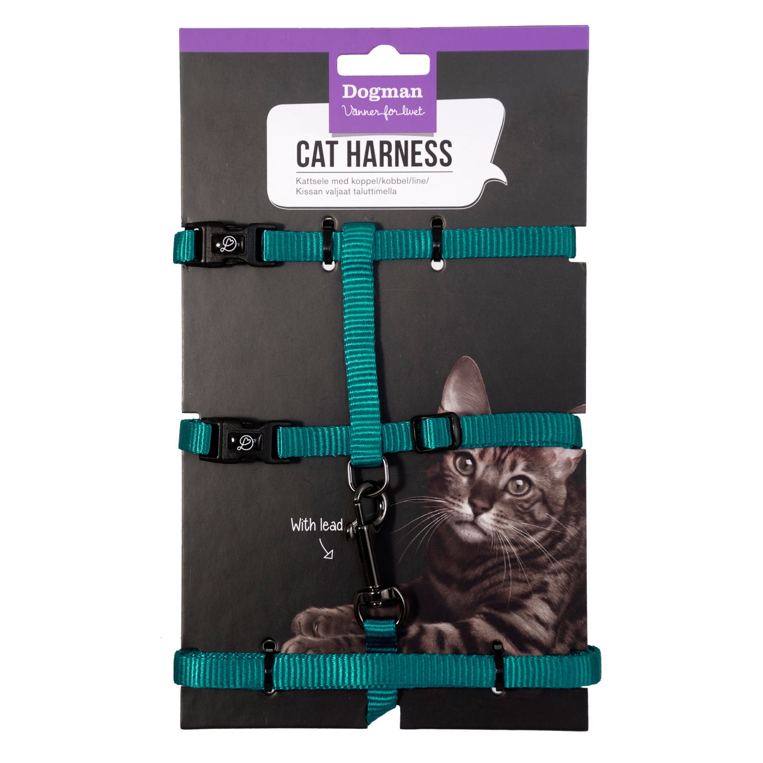 Kattsele set Findus - 2