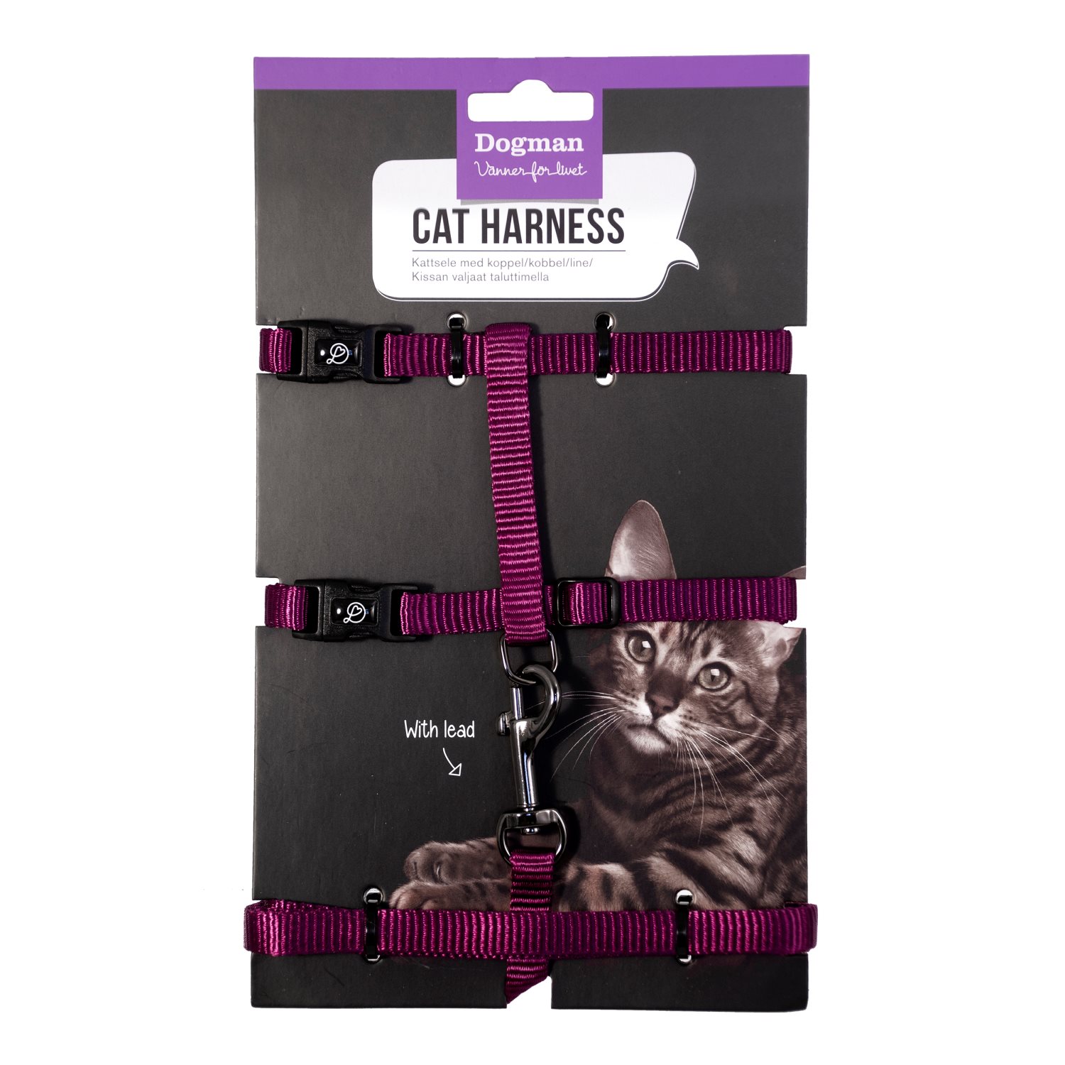 Kattsele set Findus