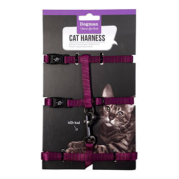 Kattsele set Findus