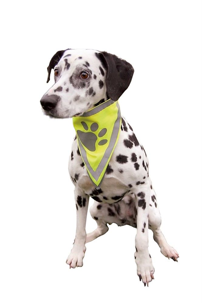 Trixie Säkerhetsscarf med reflex