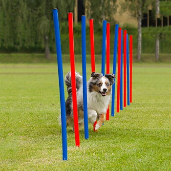 Agility slalompinnar plast 115 cm 12-pack