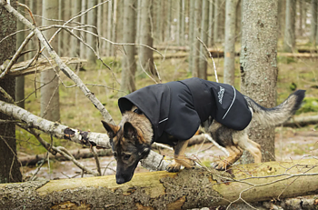 Rukka Pets Windy Thermal Täcke