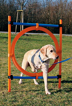 Agility hoppring i plast