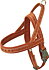 30-35 cm, Cinnamon