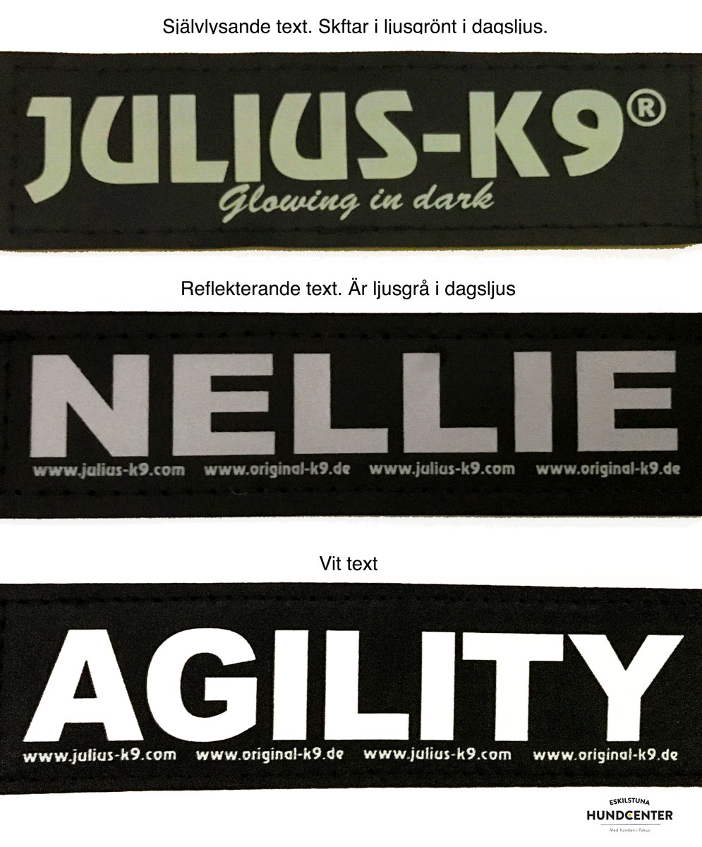 Kardborredekaler tilll Julius-K9 sele och halsband - färdig text eller flagga - 10