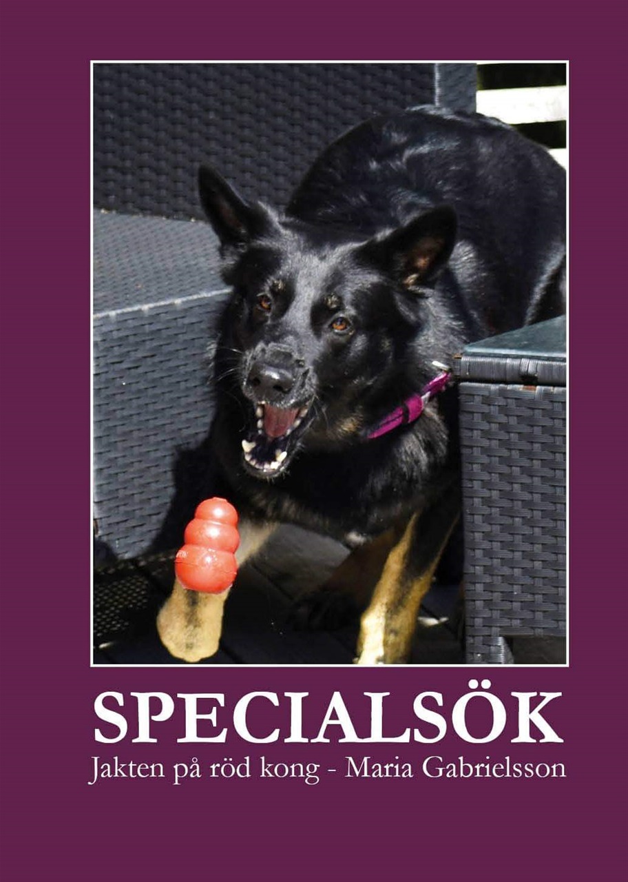 Specialsök - Jakten på röd kong
