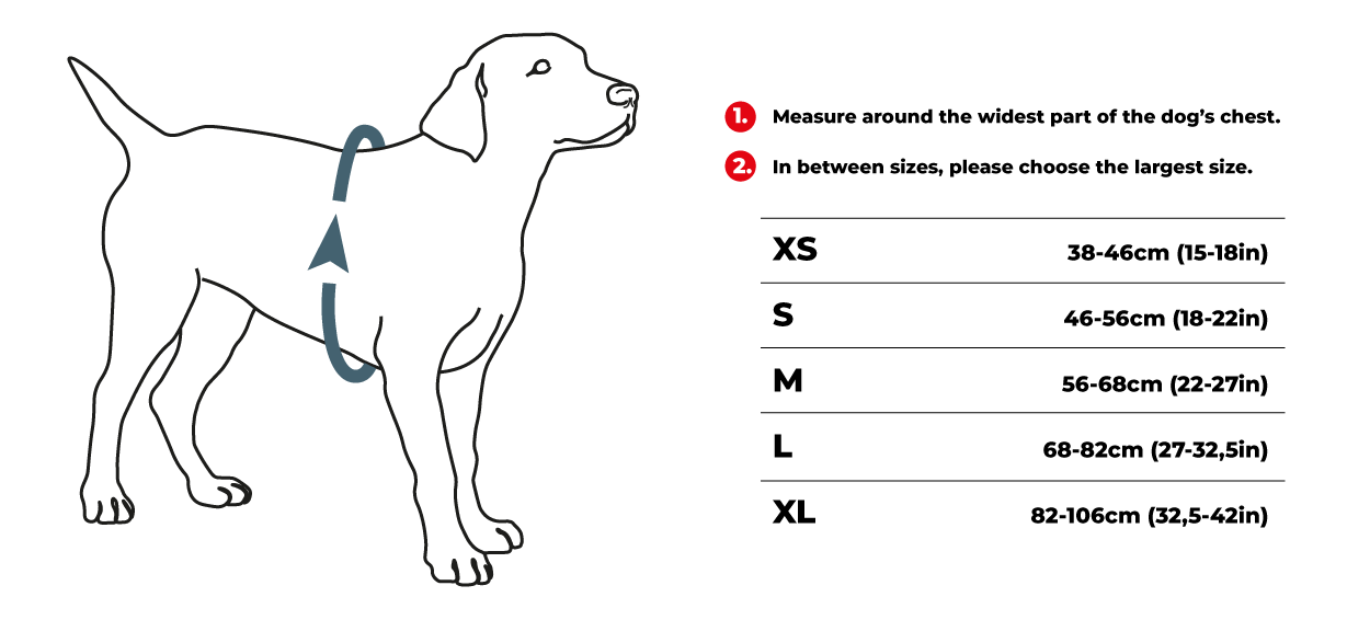 Dog Copenhagen Comfort Walk PRO Sele Svart - 4