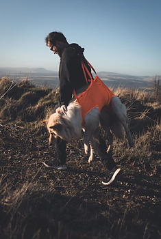 Non-stop Dog Rescue Sling ORANGE  S,M,L