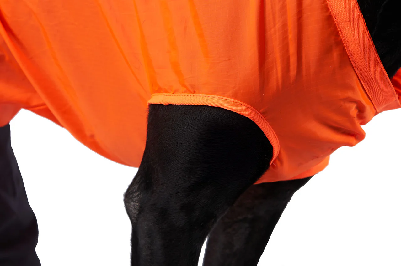 Non-stop Dog Rescue Sling ORANGE  S,M,L - 6