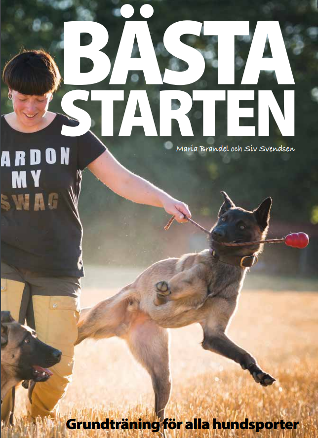 Bästa starten - Bok av Maria Brandel och Siv Svendsen