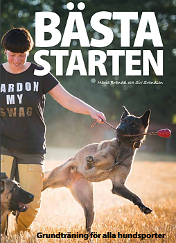 Bästa starten - Bok av Maria Brandel och Siv Svendsen