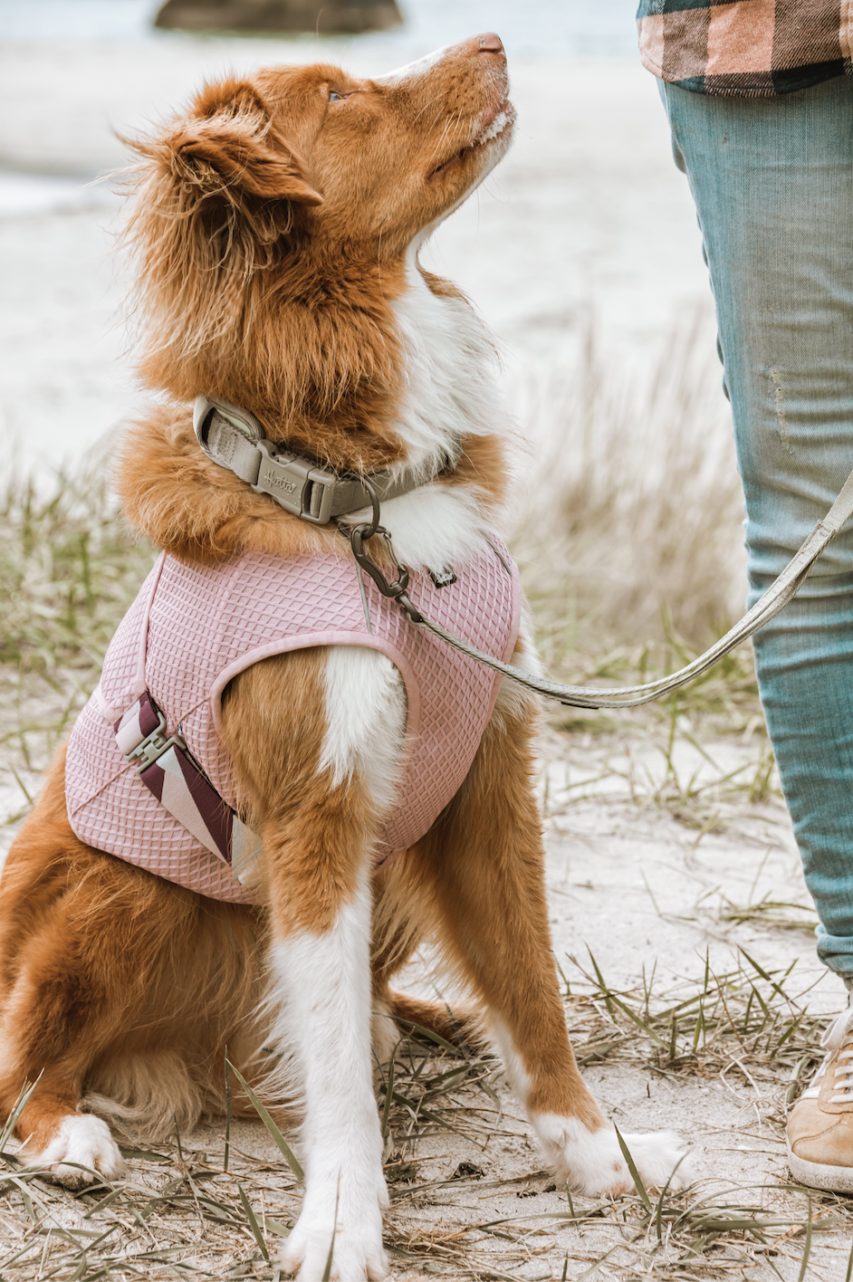 Hurtta Cooling Wrap Carnation rosa st 85-95 - 5