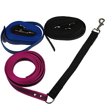 Påviskoppel med Expander