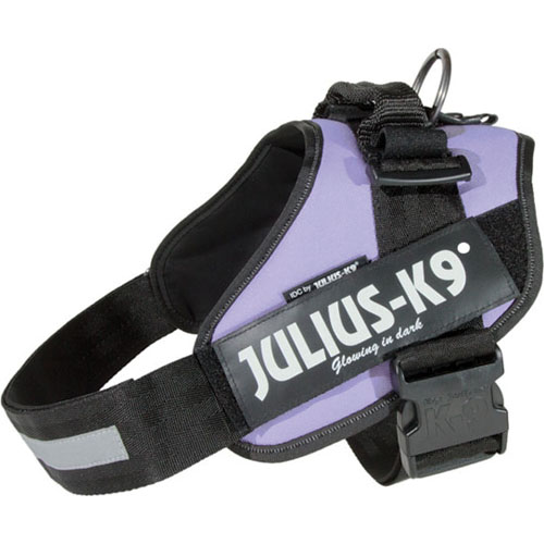 Julius-K9 IDC Sele - camo, svart, rosa, lila, jeans, turkos, orange - 6