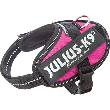 Julius-K9 IDC Sele - camo, svart, rosa, lila, jeans, turkos, orange