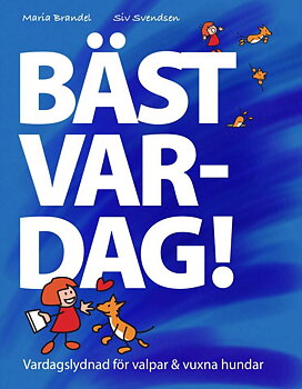 Bäst Var-Dag - bok av Maria Brandel och Siv Svendsen