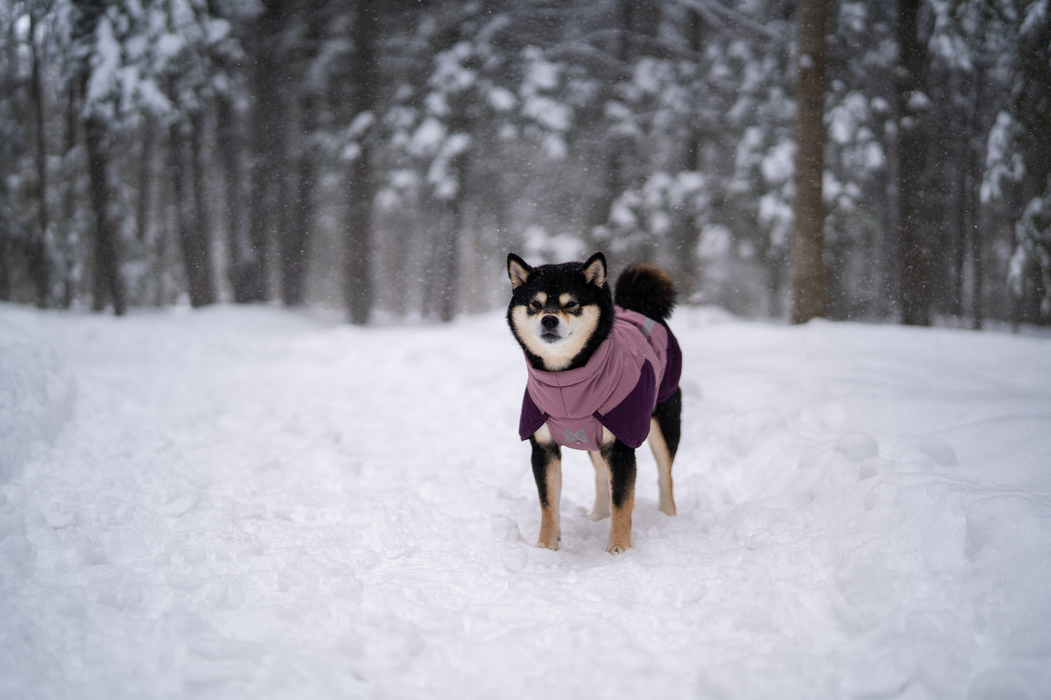 Non-stop dogwear Glacier jacket 3.0, mauve - vintertäcke - 3