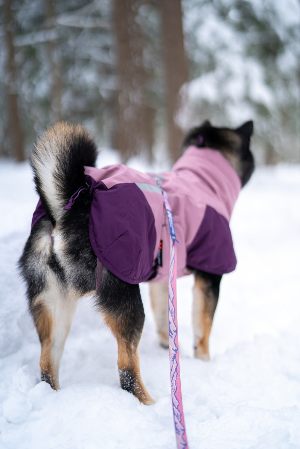 Non-stop dogwear Glacier jacket 3.0, mauve - vintertäcke - 4