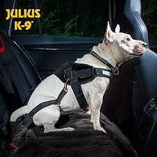 Julius K9 anslutning till säkerhetsbälte