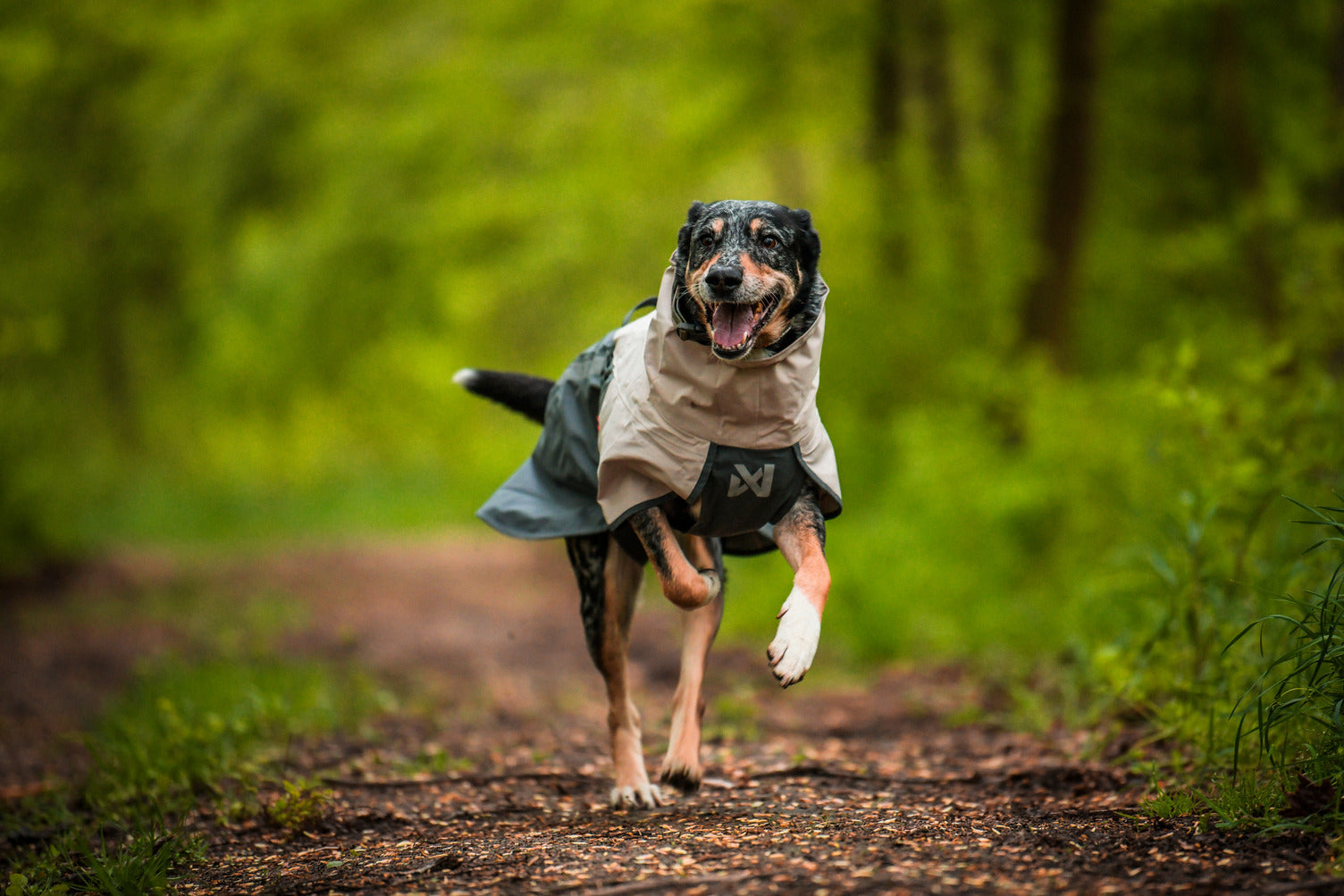 Non-stop dogwear Fjord raincoat 2.0, grå - regntäcke - 2