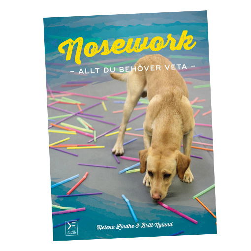 Nosework - Allt du behöver veta