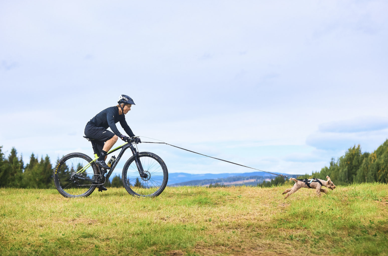 Non-Stop Touring Bungee Leash - 8