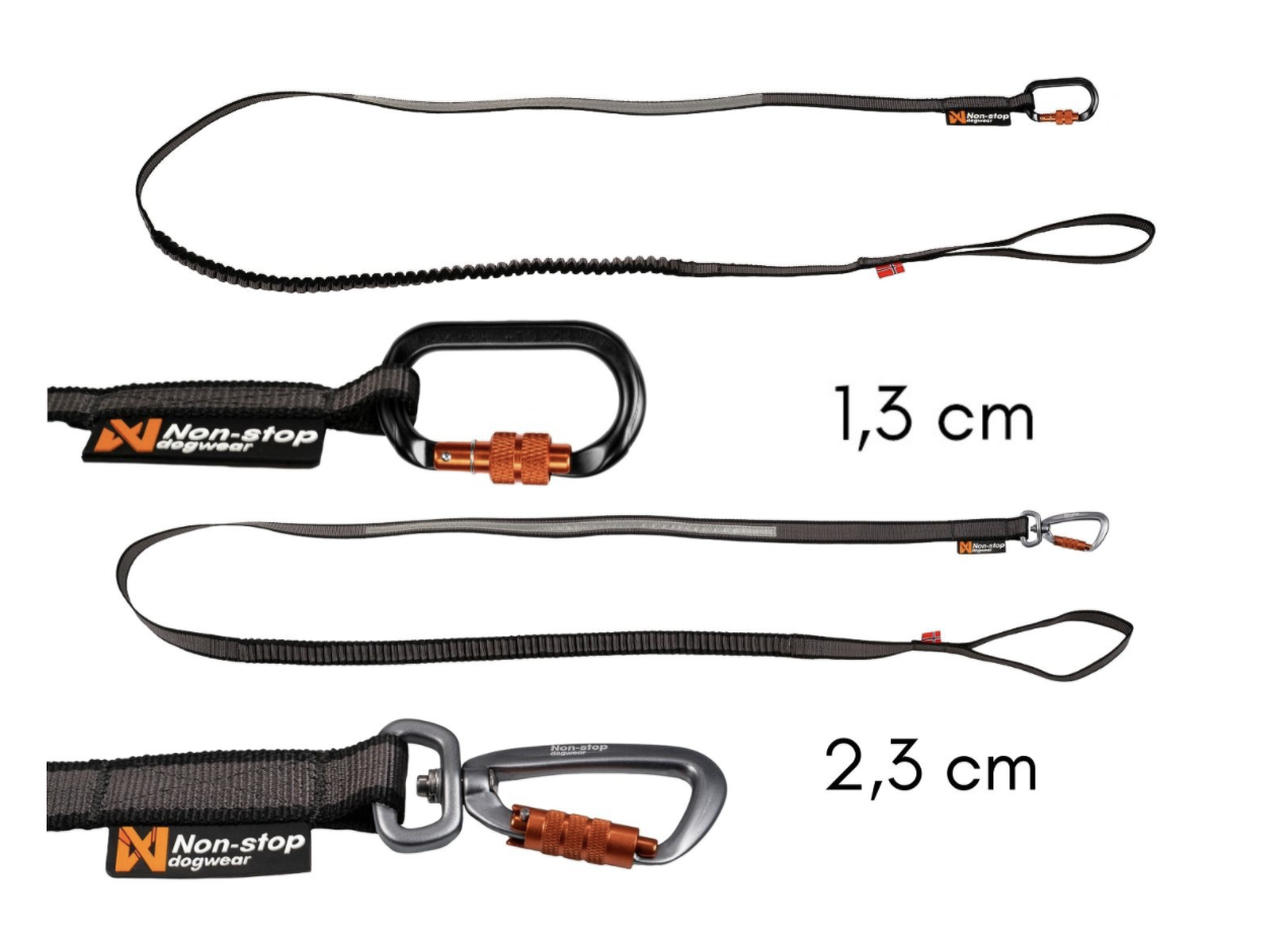Non-Stop Touring Bungee Leash