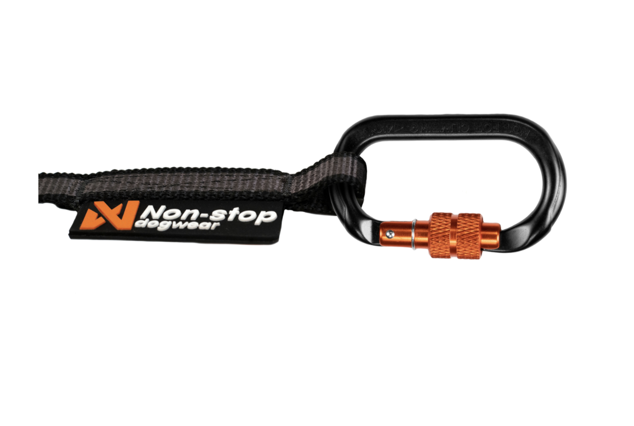 Non-Stop Touring Bungee Leash - 5