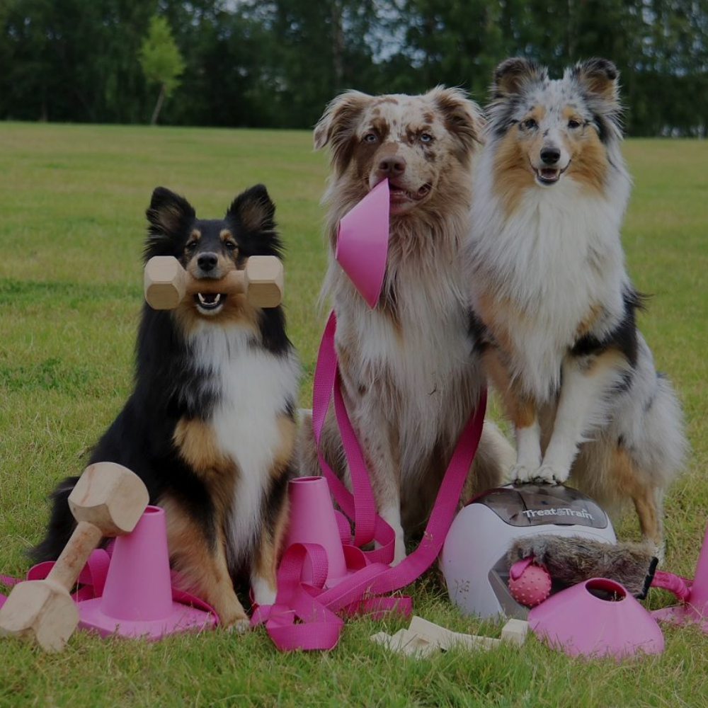 Eskilstuna Hundcenter Här hittar du tillbehör till din träning! 