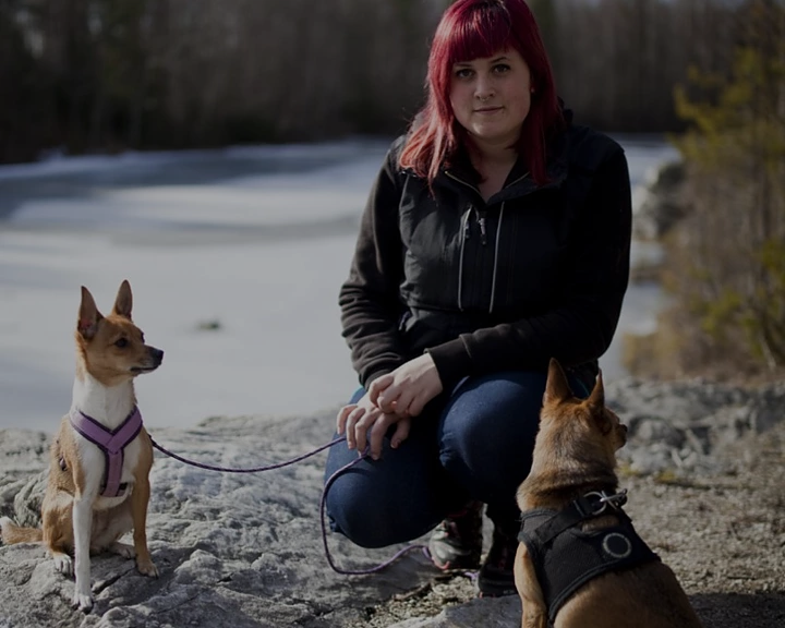 Beteendeutredning -Träffa hundbeteendeutredare i Eskilstuna 