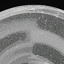 Kaj Franck (Sargasso 1966) Clear Modern Dish 36 cm