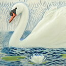 Staffan Johnson (Province Animals 1980s) White Wall Plaque with Swan Motif 20 cm  [Sample Images]