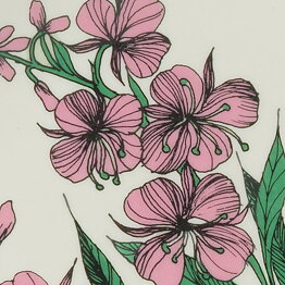 Esteri Tomula (Botanica 1982) Fireweed Wall Plaque 13 cm (2)