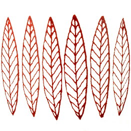 Stig Lindberg (Red Salix 2000s) Perfect Plate (28 cm)