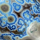 Isak Isaksson (2020) Unique Vase with Silver/Blue Crystalline Glaze 27 cm