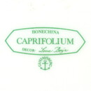 レナ・ボイエ  Caprifoliumシリーズ  ピンクの花のコーヒーカップ&ソーサー  1980年代 9cm  [サンプル画像]