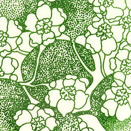 Paul Hoff (Emma 1971) Plates with Green Flower Decor 18 cm  [Sample Images]