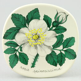 Esteri Tomula (Botanica 1980) Burnet Rose Wall Plaque 13 cm