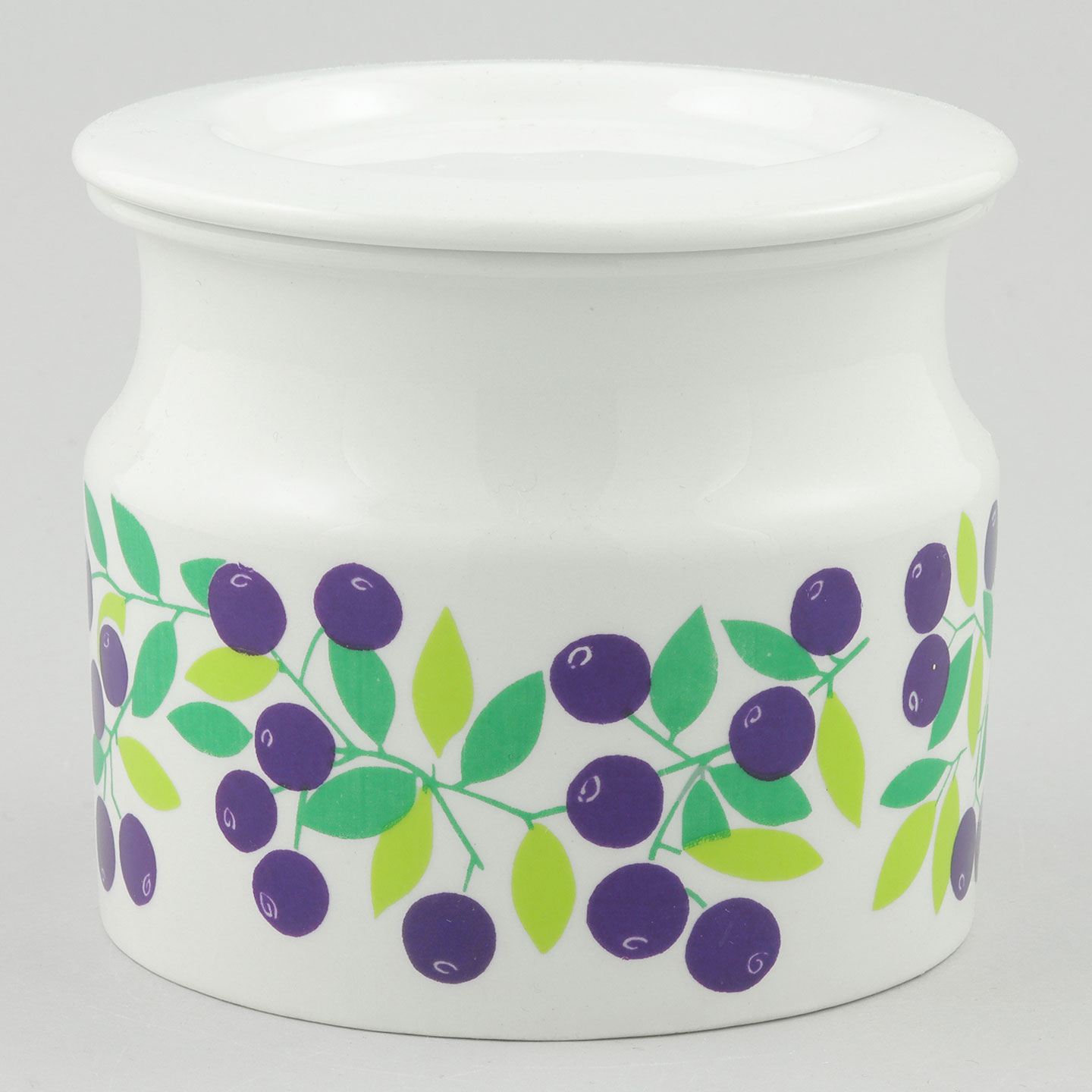 ライヤ・ウオシッキネン Pomonaシリーズ 蓋付き容器 (ブルーベリー