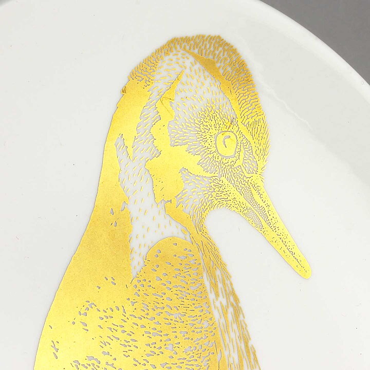 Paul Hoff (Endangered Species 1986) Woodpecker Collectors Wall Plate 25 cm <with Box> [Sample Images]