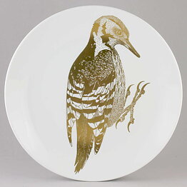 Paul Hoff (Endangered Species 1986) Woodpecker Collectors Wall Plate 25 cm <with Box> [Sample Images]