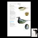オイバ・トイッカ  ガラスの鳥 黄色い嘴 Cloud Tern    2007年 26 cm〈箱付き〉 