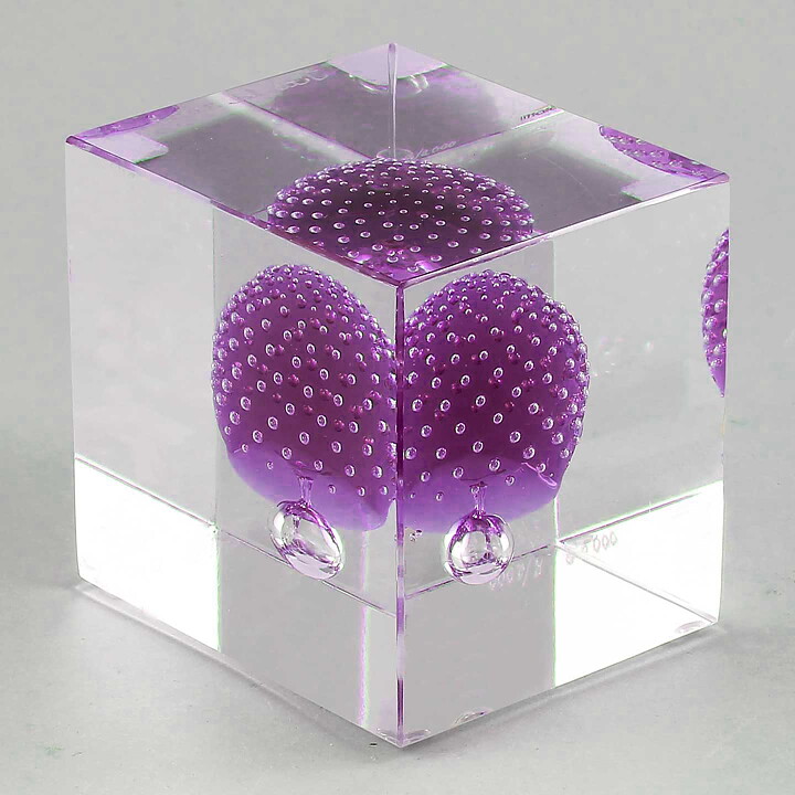 Oiva Toikka (2021) Annual Cube with Violet/Clear Glass (New)