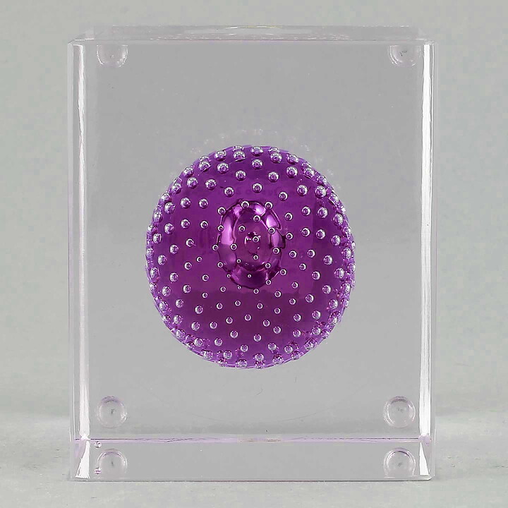 Oiva Toikka (2021) Annual Cube with Violet/Clear Glass (New)
