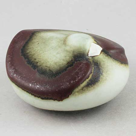 Arabia animal Bird, length 10 cm (3.9 in), Peter Winquist