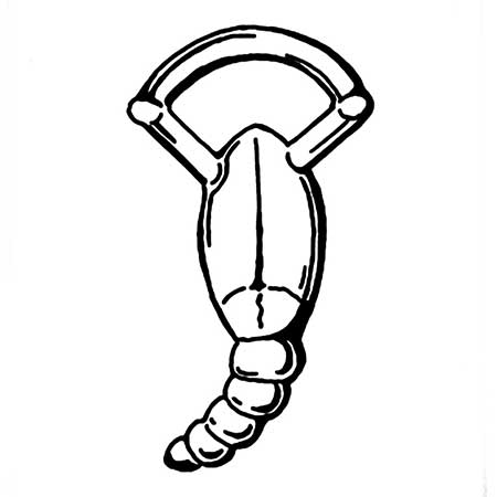 Bertil Vallien Kosta Boda Zodiacs Scorpio, diameter 22 cm