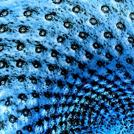 Bertil Vallien Boda The blue Cirrus decor